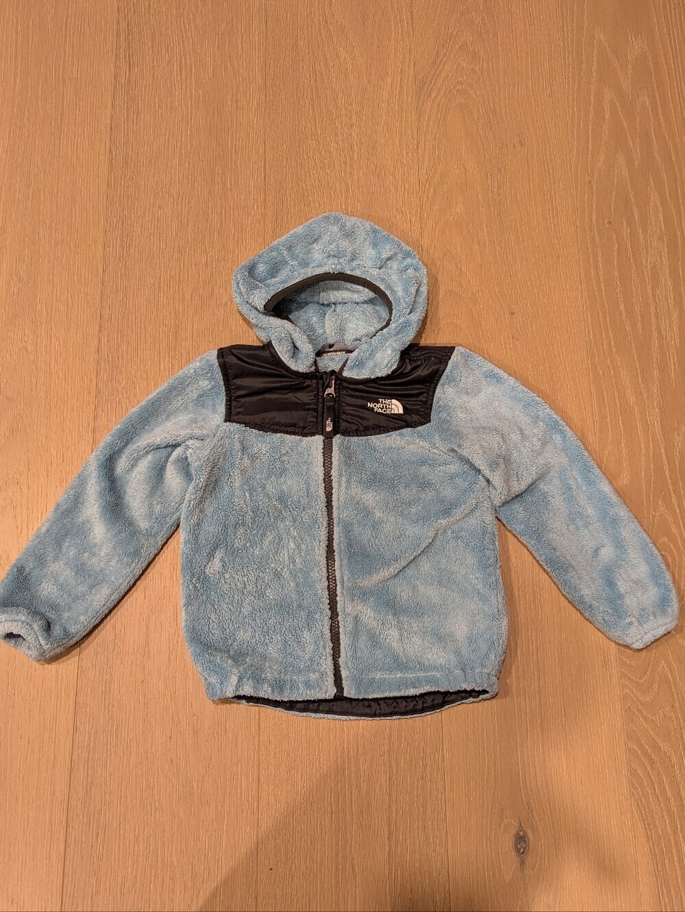 The North Face Light Blue Plush Hooded Jacket